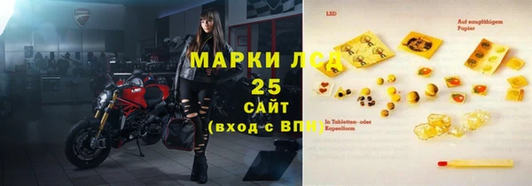 ECSTASY Алзамай