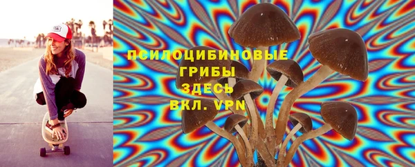 ECSTASY Алзамай