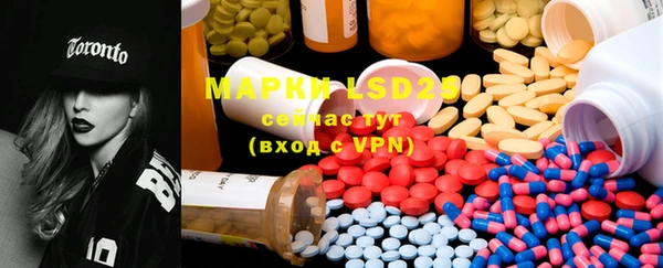 ECSTASY Алзамай