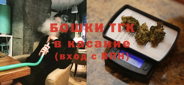 гидра Алексеевка
