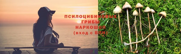 гидра Алексеевка