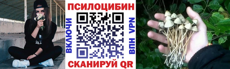 Галлюциногенные грибы мухоморы  сколько стоит  Лукоянов 